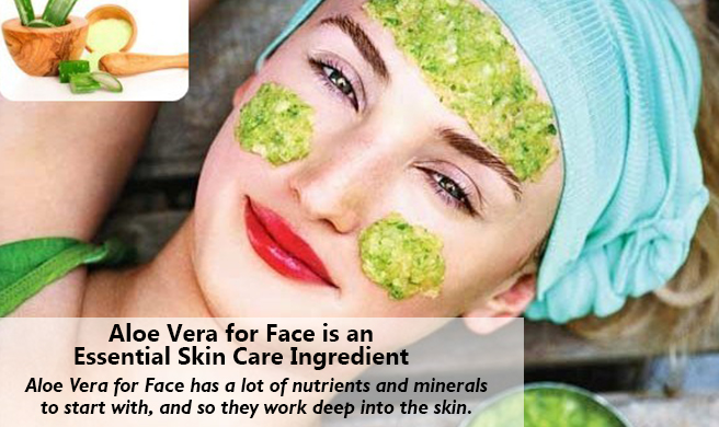 Aloe Vera for Face is an Essential Skin Care Ingredient